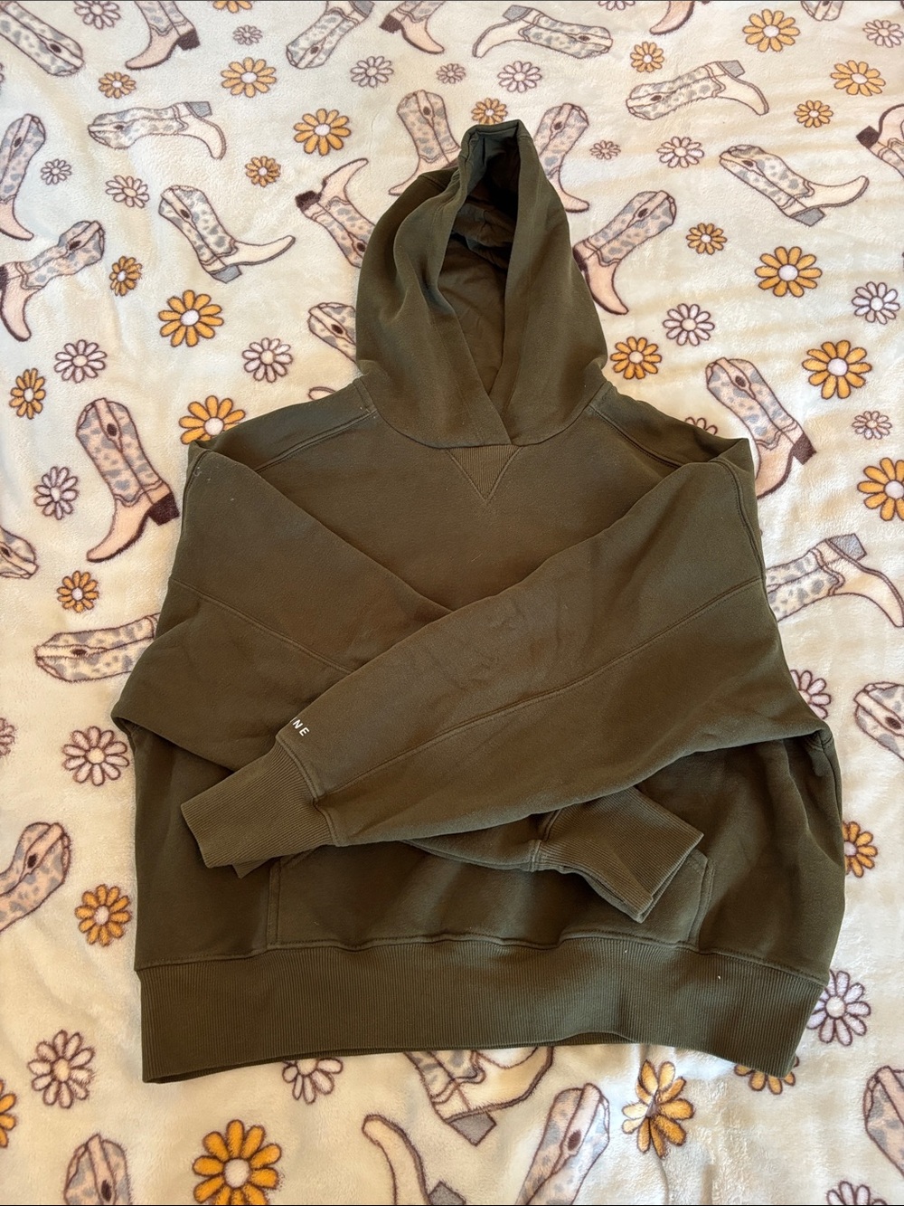 Aerie offline hoodie